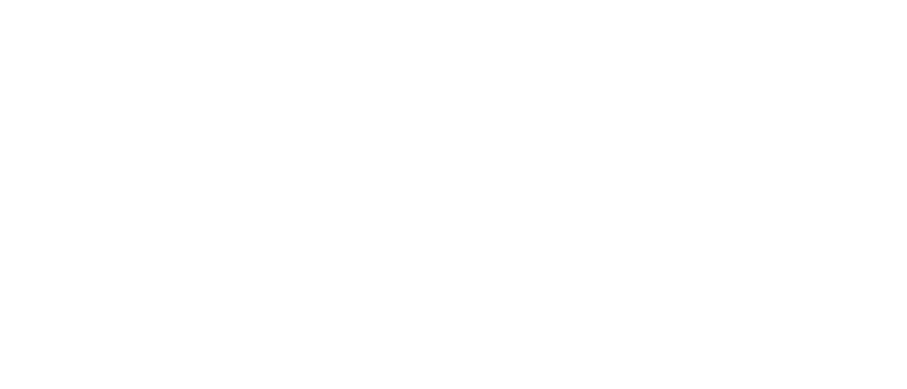 https://zenitistanbul.com/wp-content/uploads/2020/12/zenit-logo-04.png